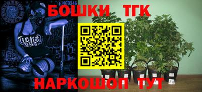 кокаин Кингисепп